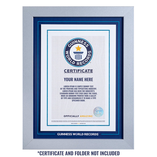 Certificado de Participante Recorde Moldura Prata
