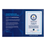 Record Participant Certificate The Largest Project in Minecraft 